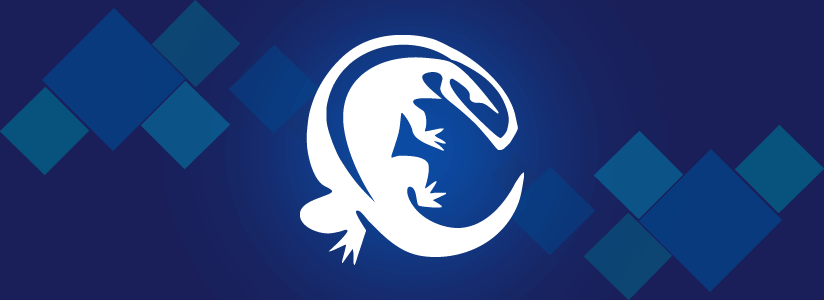 Top PHP Development Tools Every Developer Should Explore